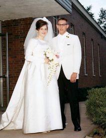 article image - 
